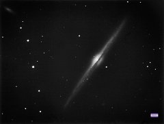 NGC 4565
